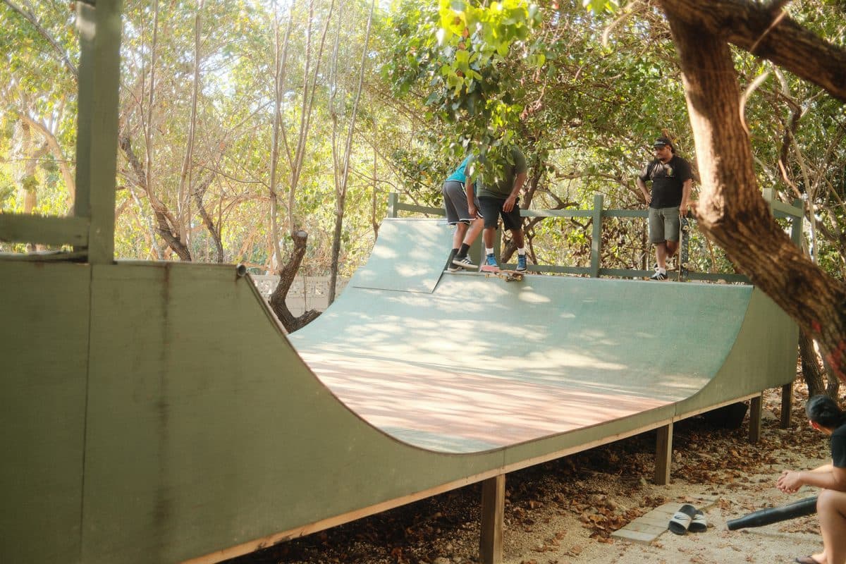 A half pipe under the trees with skaters standing on the deck